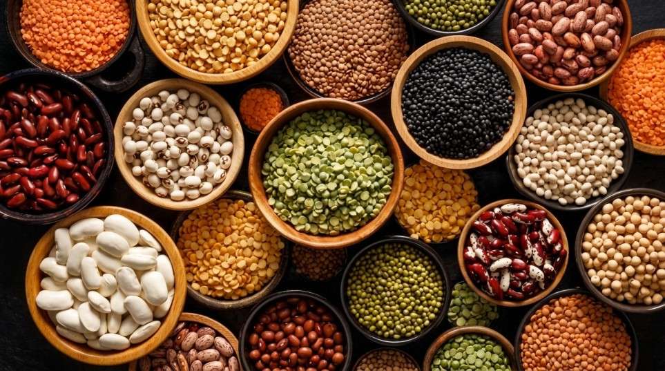 Beans and Pulses