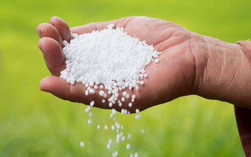 urea