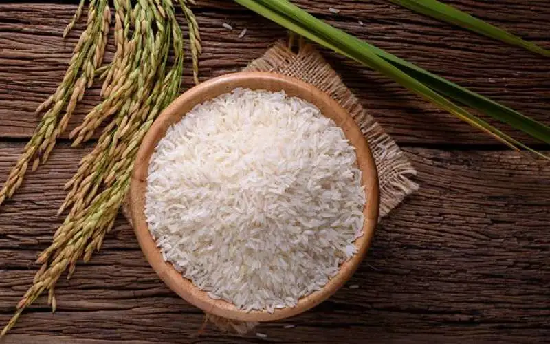 RICE